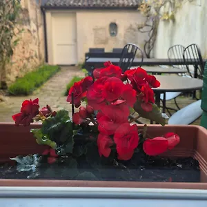Nocleg ze śniadaniem 19 Borgo Cavour